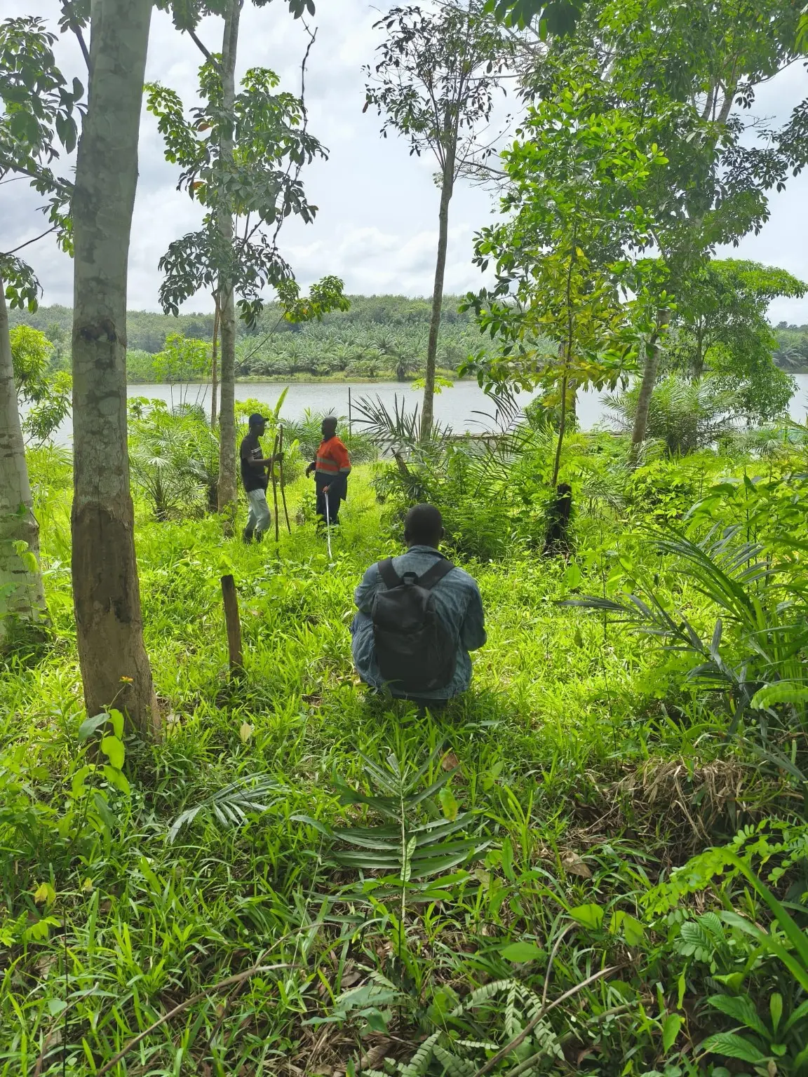 Visite de terrain dans la végétation au bord du lac sur le site AQUITANIA