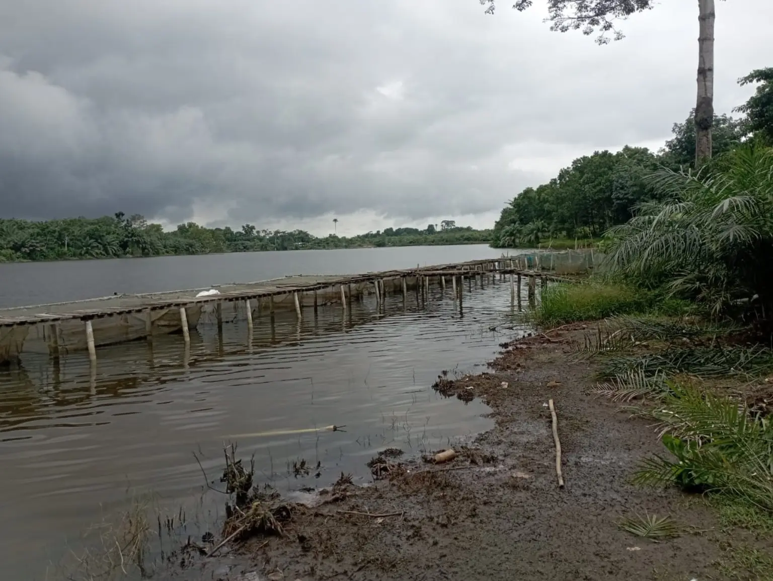 Cages piscicoles installées sur le lac du programme PVM à Mbromé
