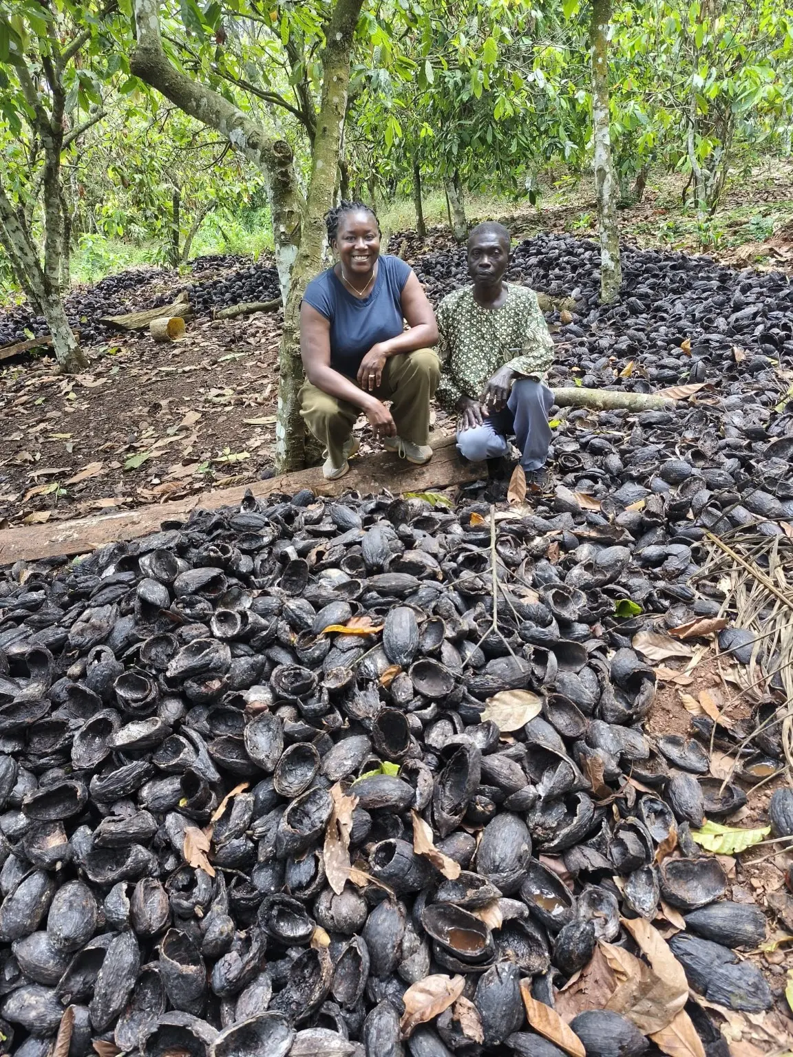 Coques de cacao rassemblées sur le site du programme T4CB